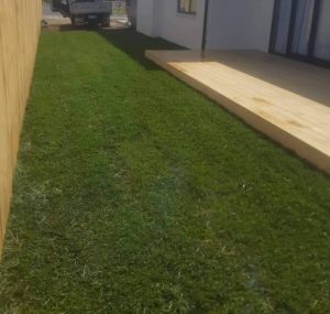 Lawn construction Auckland